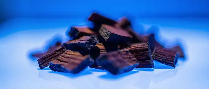 Природный антиоксидант из сибирской лиственницы станет основой для нового препарата против лишнего веса