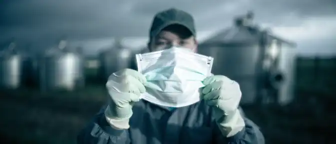 В Вашингтоне зафиксирован первый за текущий год случай заражения человека птичьим гриппом H5N1